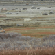 Illustration for article titled How To Shoot A Polar Bear — With Live Video